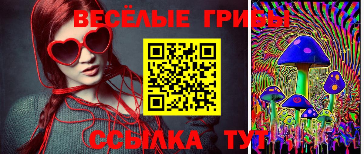 Псилоцибиновые грибы Cubensis Гуково