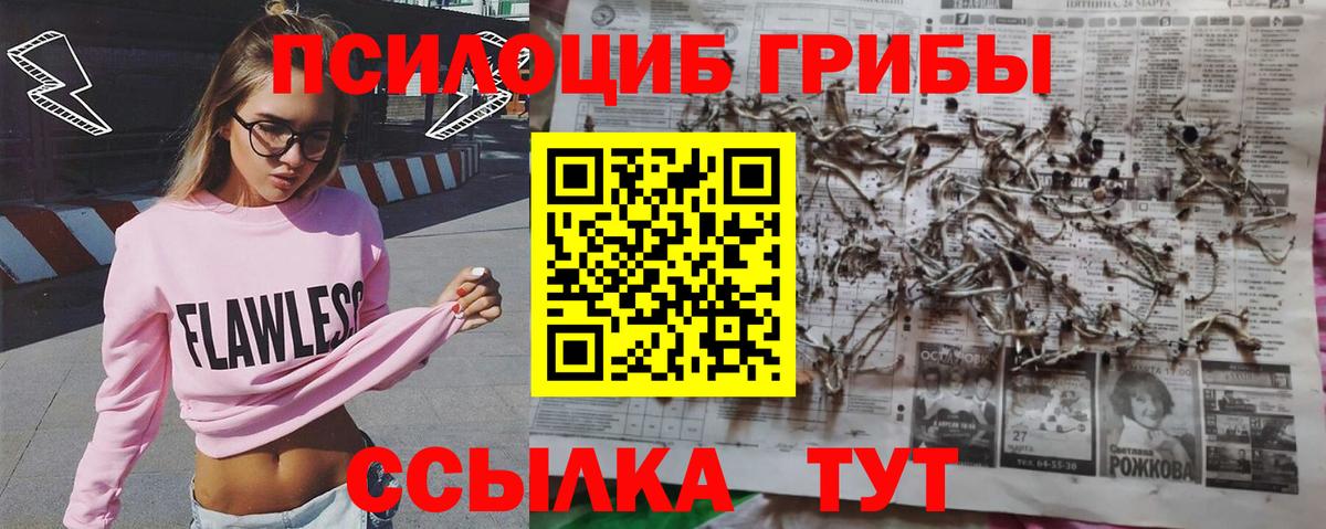 Гуково  Галлюциногенные грибы Psilocybe  Вход с VPN  Псилоцибиновые грибы Magic Shrooms 