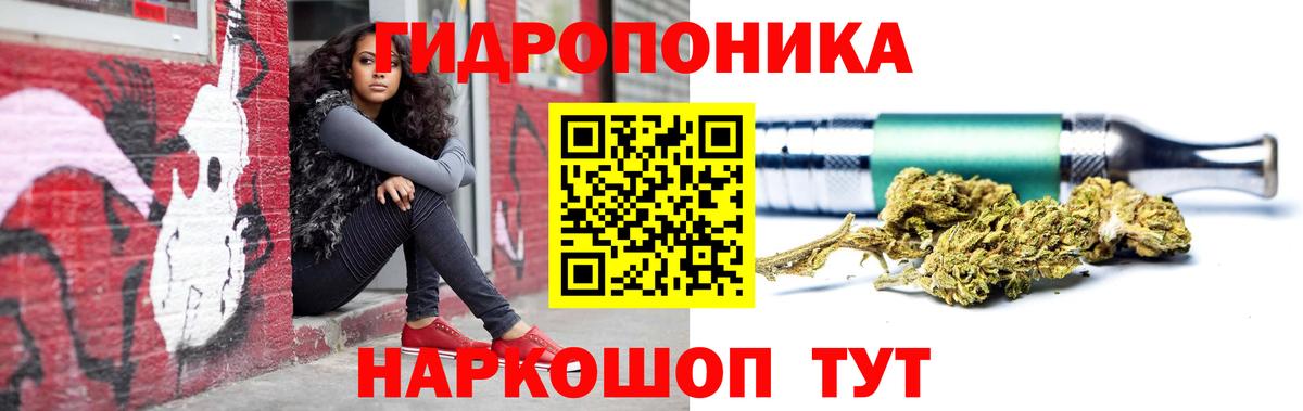 Бошки Шишки конопля Гуково
